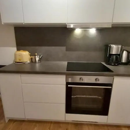 Priestranný Rena V Malebnom Apartmánovom Dome Hôrky Pri Svahu V Pavčinej Lehote *