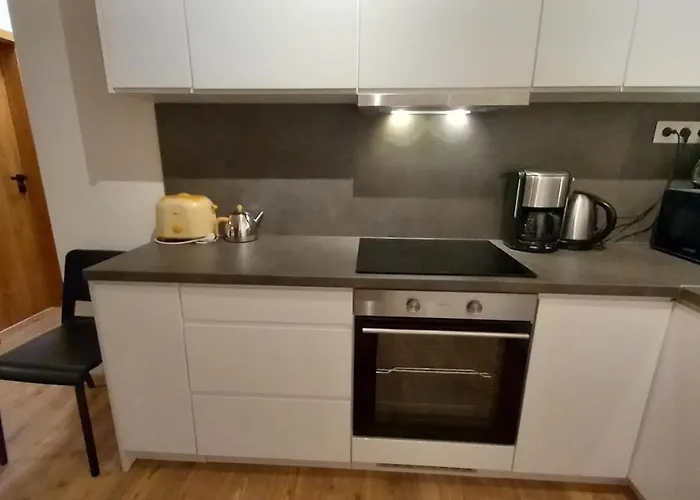 Priestranny Rena V Malebnom Apartmanovom Dome Horky Pri Svahu V Pavcinej Lehote *